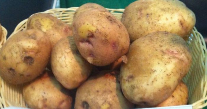 Mga tubers ng Lugovskoy sa isang basket