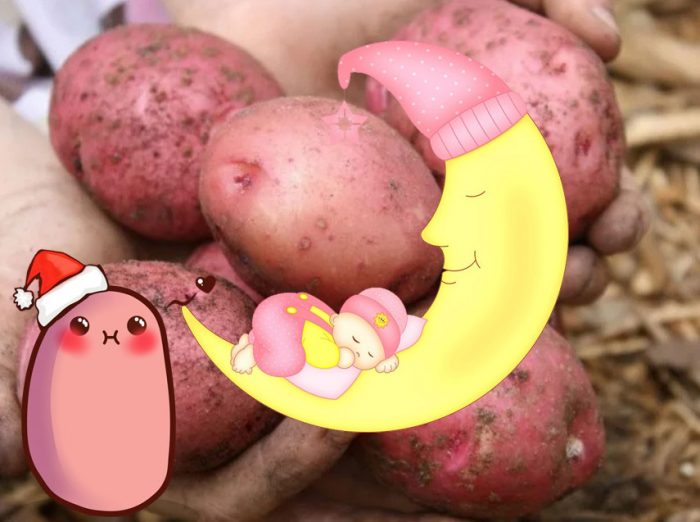 Pulang Patatas ni Sonya