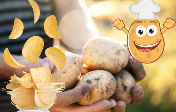 Uri ng patatas na Vineta