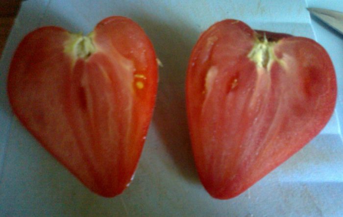 Kamatis na hugis puso
