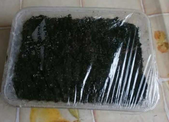 Pagtatakip sa mga pananim gamit ang pelikula