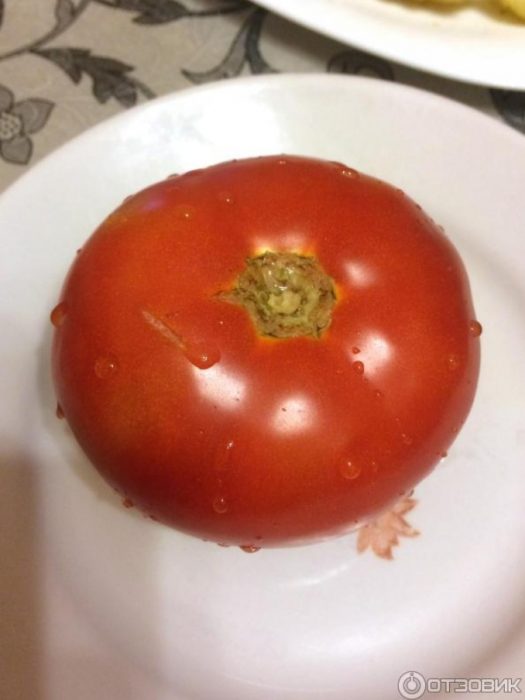 Hinog na kamatis ng uri ng Dubok