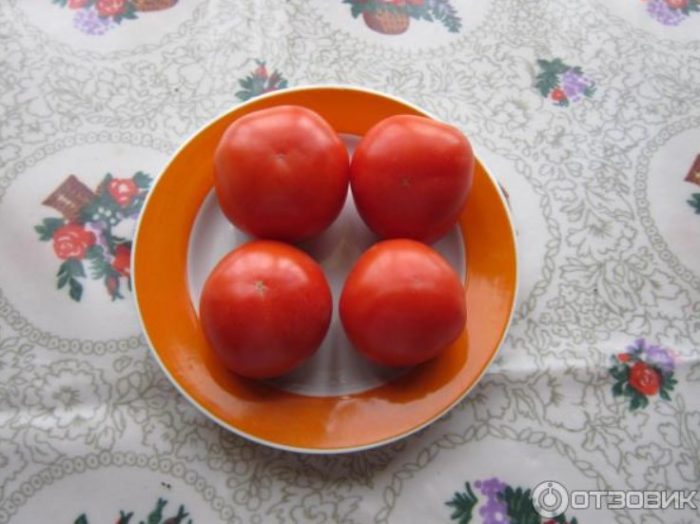 Hinog na kamatis sa isang plato