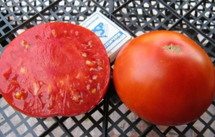 Prutas at seksyon ng kamatis