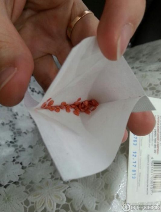 一包番茄種子