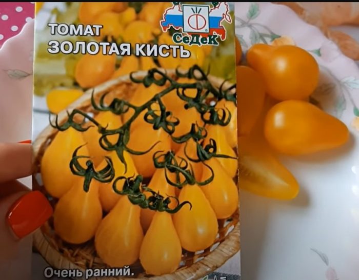 Hạt và quả