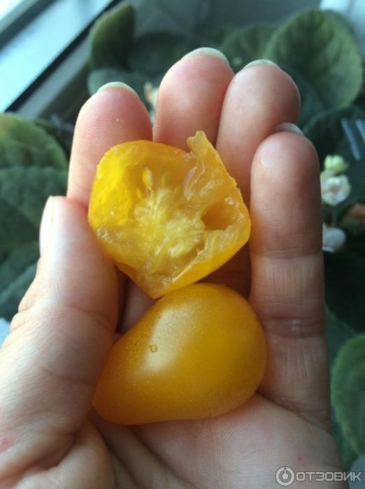 Phần bên trong của quả Kim Chổi