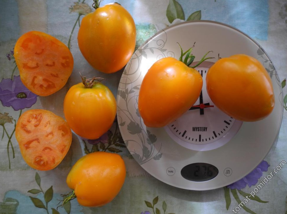 Mga prutas na kamatis na may ginintuang puso