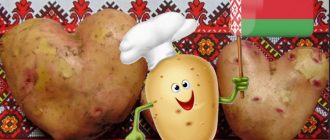 Patatas mula sa Belarus