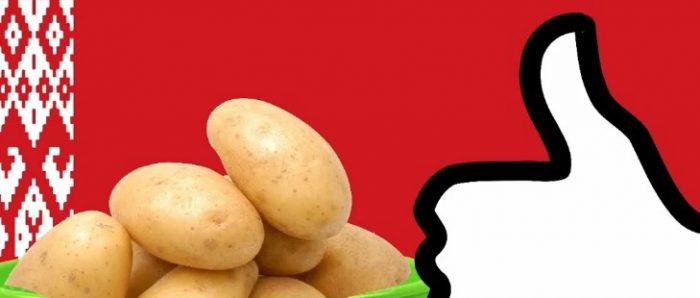 Patatas mula sa Belarus