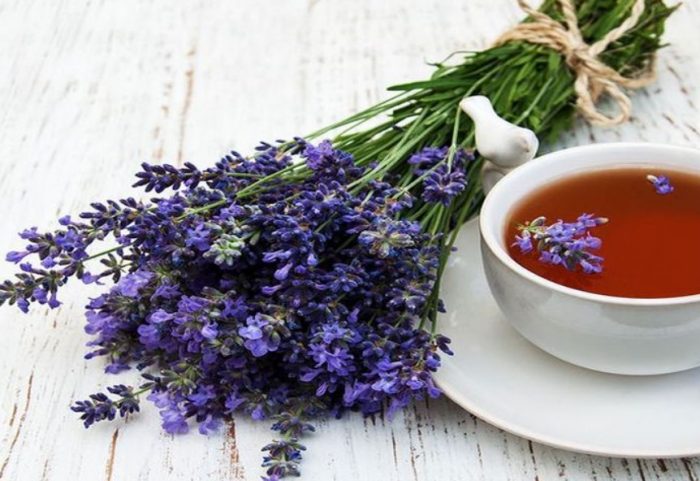 薰衣草茶