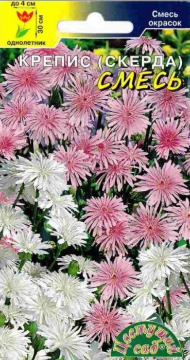 Mga buto ng bulaklak