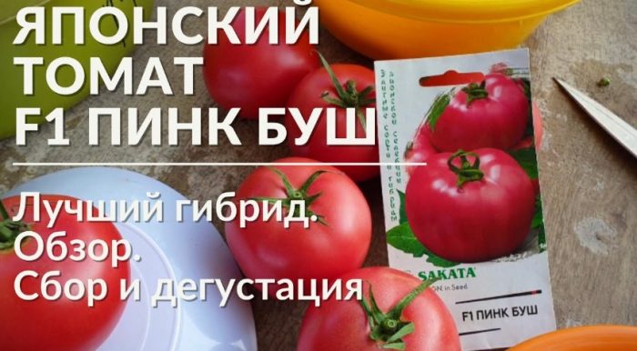 Японски домат