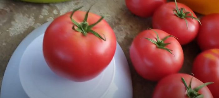 Розови храстови домати
