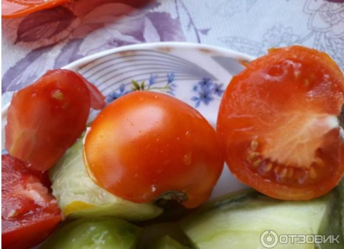 Tinadtad na kamatis