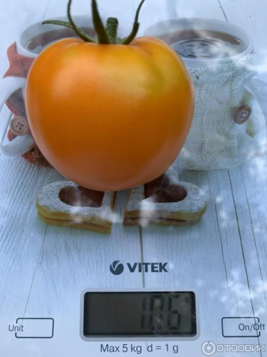 Kamatis sa timbangan