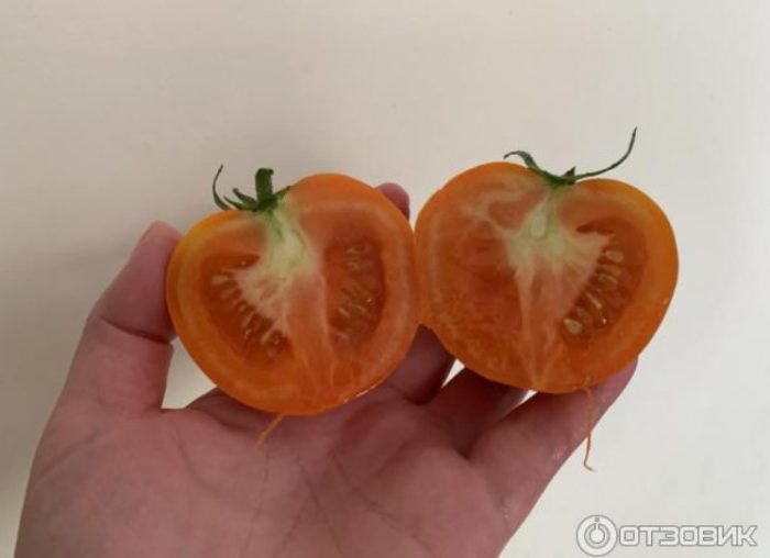 Cross-section ng mga ginintuang hybrid na kamatis ng biyenan