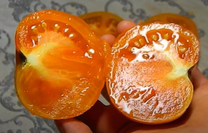 Mga bunga ng ginintuang kamatis ng biyenang babae