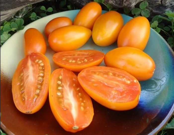 Mga prutas sa seksyon