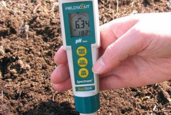 Pagsukat ng temperatura ng lupa