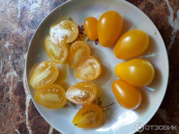Mga Kamatis na Patak ng Honey