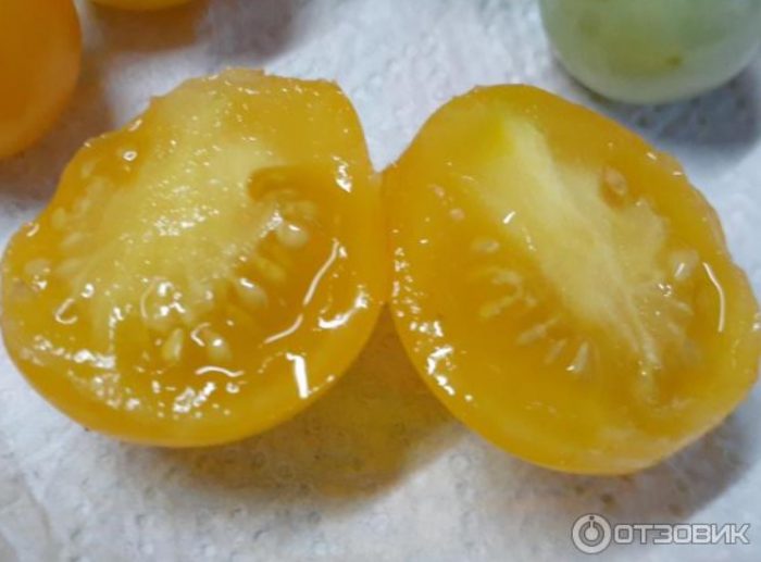 Kamatis sa seksyon