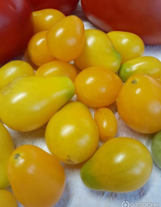 Kamatis na may Patak ng Honey