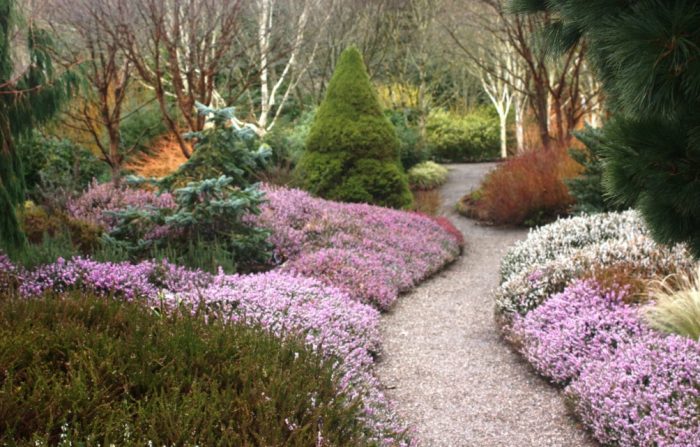 Heather sa tanawin