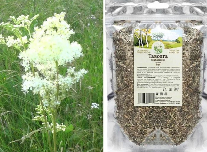 Mga hilaw na materyales ng Meadowsweet