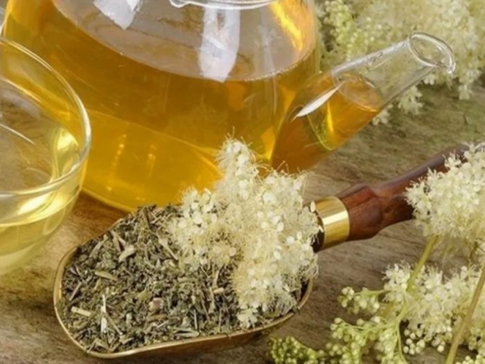 Sabaw ng Meadowsweet