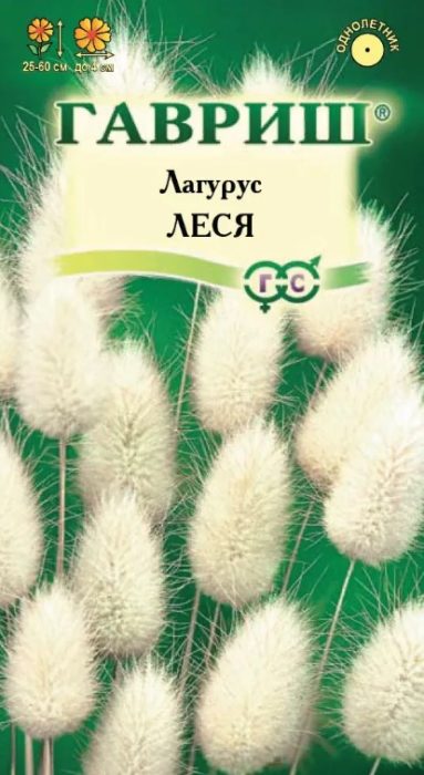 Lagurus variëteit Lesya