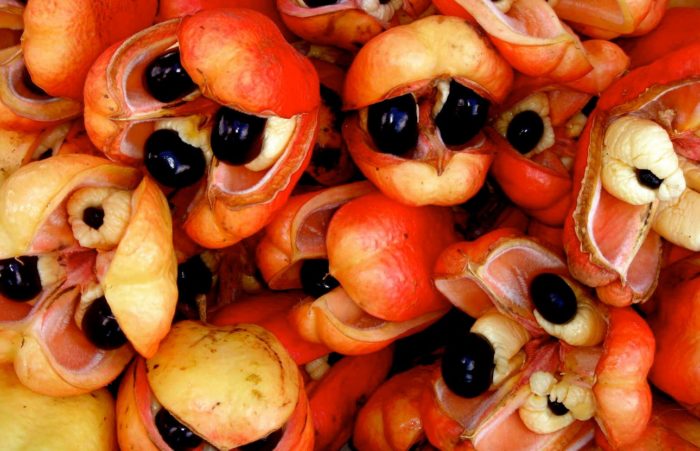 Prutas ng Ackee