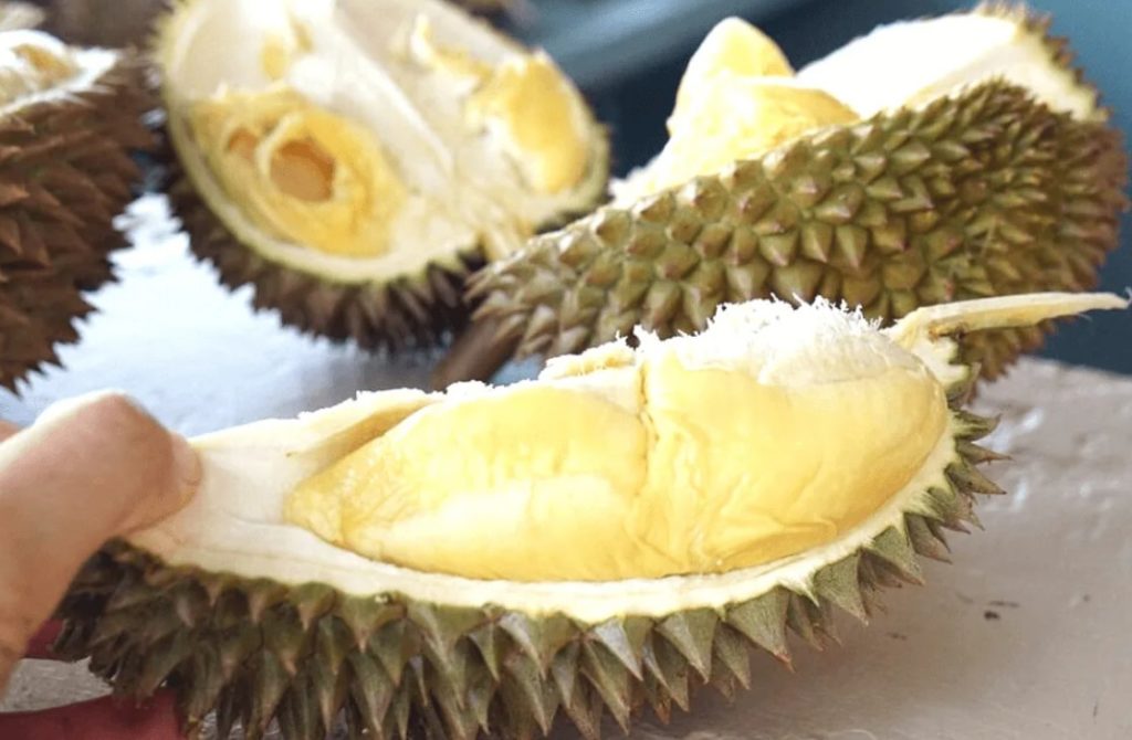 Prutas ng durian