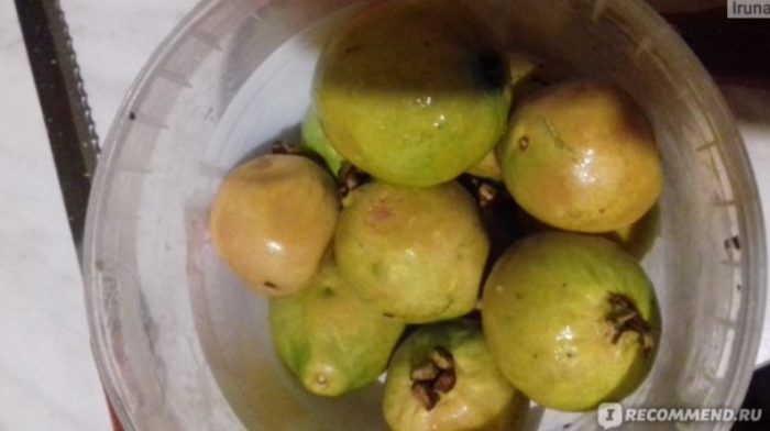 Mga prutas ng bayabas sa isang mangkok