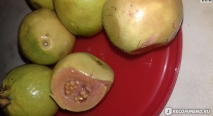 Prutas ng bayabas