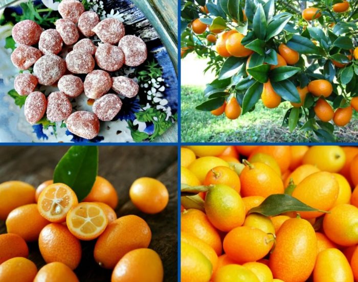 Anong uri ng prutas ang kumquat?