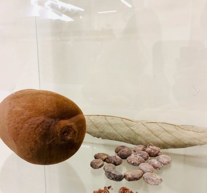 Prutas ng Cupuaçu