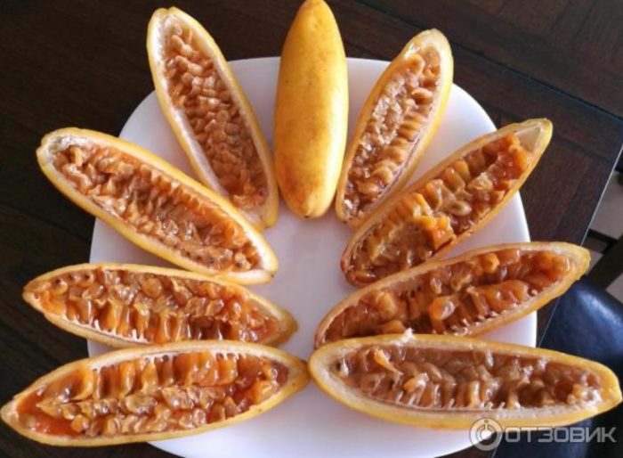 Cross-section ng mga prutas ng kuruba