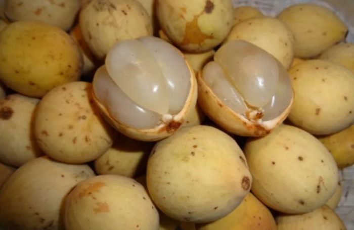 Prutas na Langsat