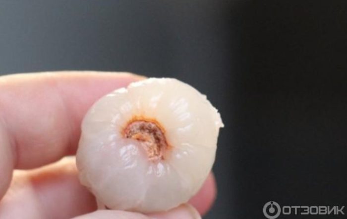Binalatan na pulp ng lychee