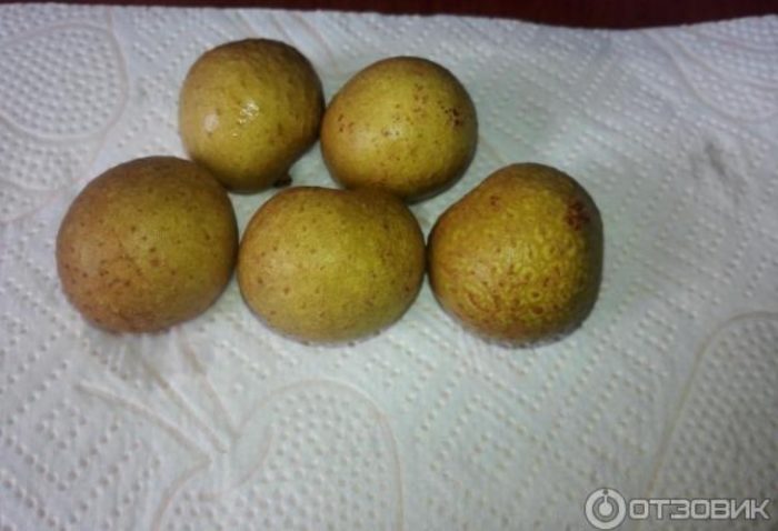 Ang mga kakaibang bunga ng longan