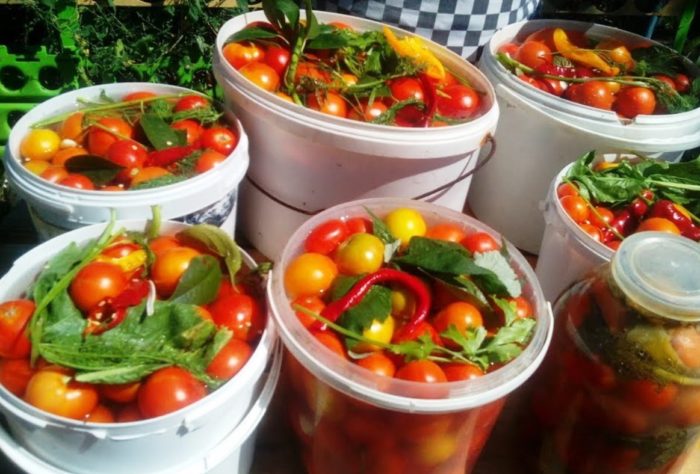 Cà chua muối chua đựng trong xô và lọ.