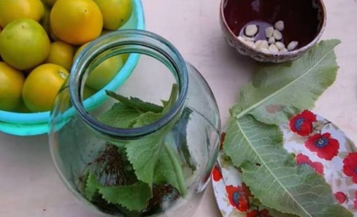 Hũ đựng cà chua muối