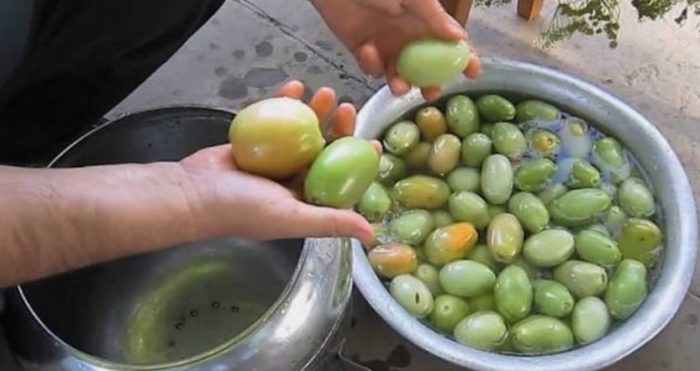 Chuẩn bị cà chua