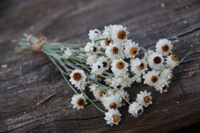 Bouquet