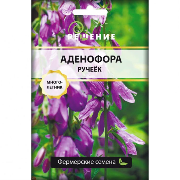 腺毛菊種子