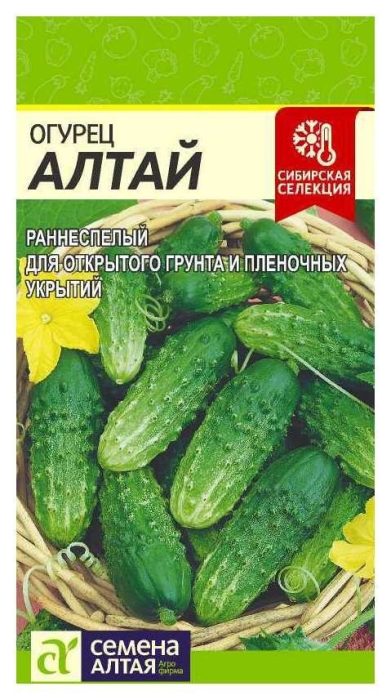 Altai