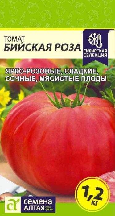 Uri ng Biysk Rose