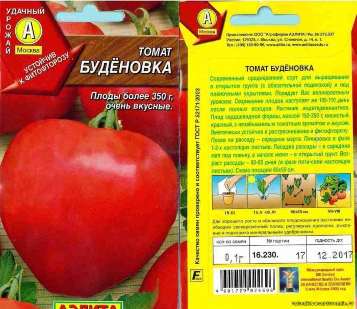 Budenovka