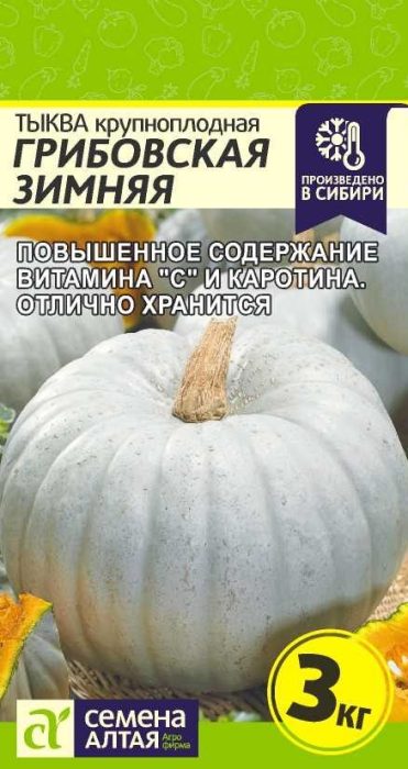Taglamig sa Gribovskaya